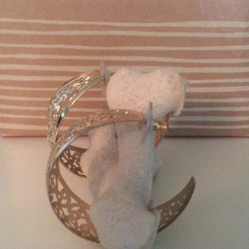 Hoop earrings - Picture 2 of 2